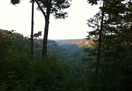 Auxier Ridge, a year after the fire